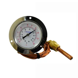 Thermometer 2.5 Inch High Quality Stainless Steel Capillary Thermometer