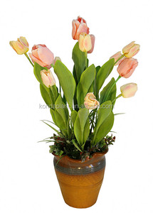 Plantas Artificiales Decorativas de Interior al por Mayor Konda, Plantas Ornamentales de Interior - Product Image 5