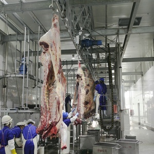 Hoàn chỉnh Gia Súc Cừu Dê Slaughterhouse Butcher Thiết Bị cho Thịt Nhà Máy Chế Biến - Product Image 2