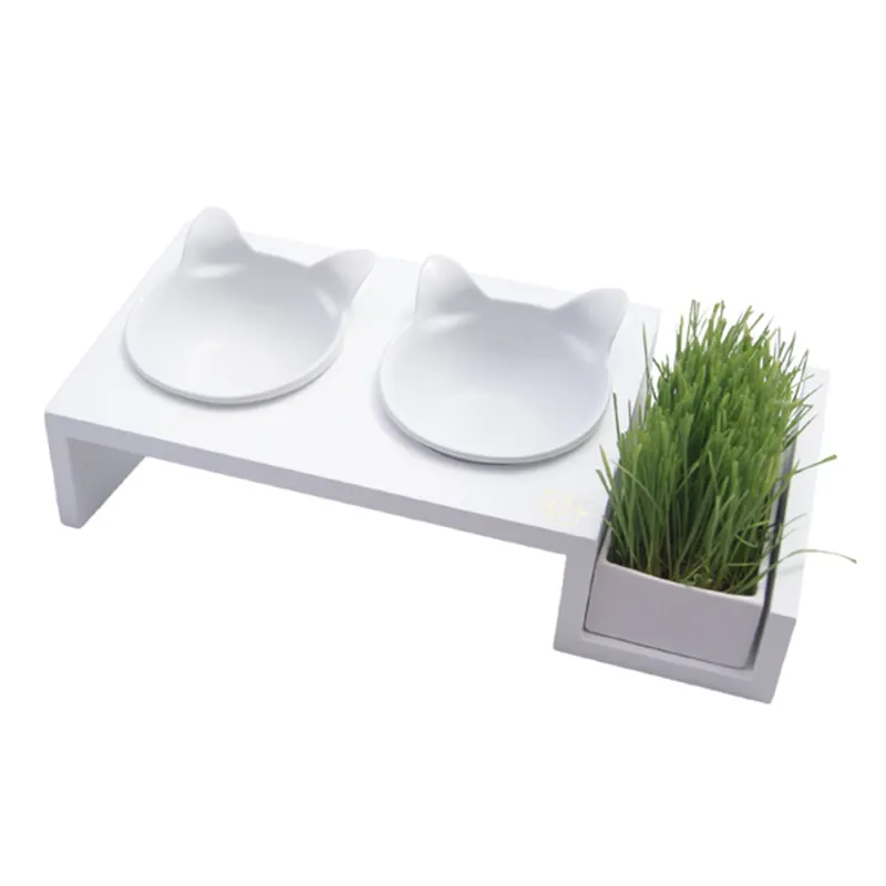 Double Pet Bowl Cat Grass Pot Pet Accessories Wholesale