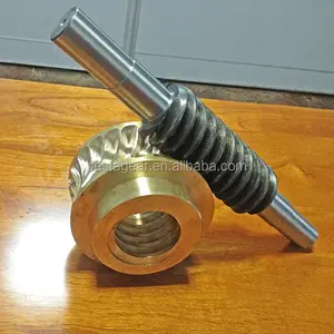 globoid bronze worm wheel gear set