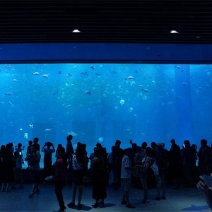 Grote Project Custom Acryl Aquarium/Clear Grote Vis Tank - Product Image 2