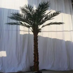 Plante de paysage 1-13 mètres de hauteur grand palmier artificiel