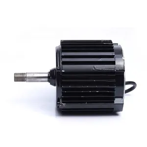 Tùy Chỉnh Nhỏ Gọn Nhật Bản Lg Mô-men Xoắn Cao 2kw 5kw 48V Dc Brushless Fan Motor Điều Khiển Cho Xe Tay Ga