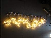 Rideau lumineux led, 3 pièces, décoration, mariage