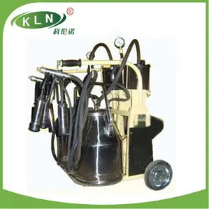 KLN Milk two cows for Milking Machines