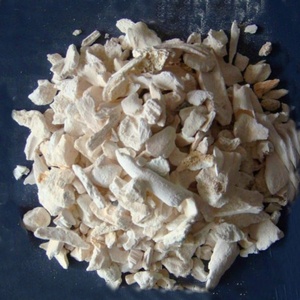 Tulang Sapi Alami dari Produsen Feilong - Product Image 1