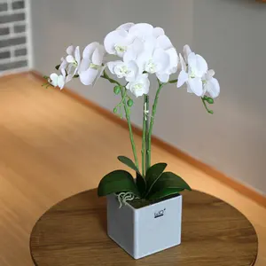 Branco singapura real toque artificial orquídea flor para a decoração