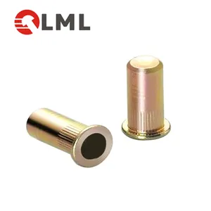 OEM ODM Chất Lượng Cao Mẫu Miễn Phí Giá Cả Cạnh Tranh Rivet Nut Nhà Cung Cấp Từ Trung Quốc