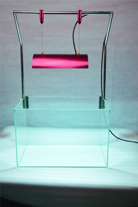 70w 8400k fabriek directe <span class=keywords><strong>aquarium</strong></span> tank gras geplant hqi metaal halide lamp mhl - Product Image 3