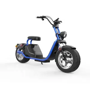 2019 yeni EEC/COC Şehir coco Elektrikli Scooter 3000 W Motor ile Çıkarılabilir Lityum Pil