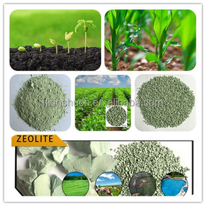 Granulés de <span class=keywords><strong>zéolite</strong></span> verte naturelle <span class=keywords><strong>en</strong></span> <span class=keywords><strong>poudre</strong></span> pour l'agriculture, l'aquaculture, engrais, remplissage, biologique, haute capacité d'adsorption CEC - Product Image 5