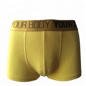 Đàn Ông Giản Dị Đồ Lót Rộng Eo Đàn Hồi Ban Nhạc Đàn Ông Boxer Briefs Quần Short Spandex / Cotton Cộng Với Kích Thước OEM Dịch Vụ Thoáng Khí Nhanh Khô - Product Image 5