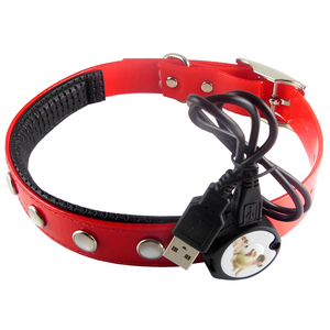 Grenouillère lumineuse led en TPU, collier de chien, fournitures pour animaux de compagnie - Product Image 6