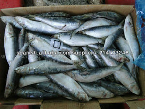 mariscos Sardinas Pescado Congelado 60-70g - Product Image 1
