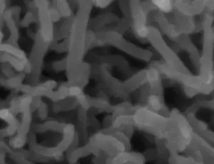 Carbon Nanofibers(CNFs)