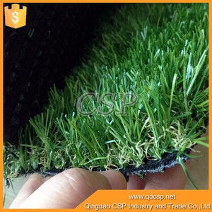 De alto rendimiento 25 - 40 mm de China de la calidad estupenda híbrido <span class=keywords><strong>semilla</strong></span> de la hierba para el jardín - Product Image 4