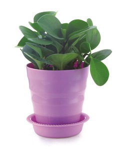 Hermosa automático de riego pequeñ<span class=keywords><strong>a</strong></span> maceta de plástico - Product Image 4