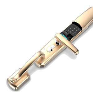 Numérique en plein air espagne électrique garage porte d'<span class=keywords><strong>empreintes</strong></span> <span class=keywords><strong>digitales</strong></span> <span class=keywords><strong>cadenas</strong></span> - Product Image 2