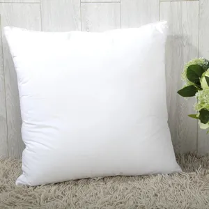 Wholesale suppliers 30x50 60 x 60 cushion feather filled cushion