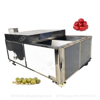 Petite machine à dénoyauter les olives professionnelle, prix de la machine à dénoyauter les olives