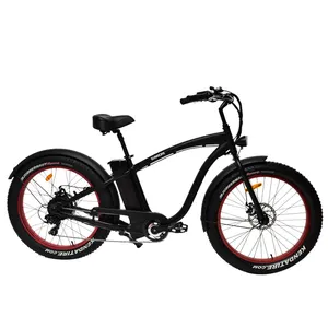 Long Range Big Power Fast Speed Cheap Electric Fat Tire Bike