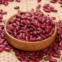 Wholesale Dried Dark Red Kidney Bean for Canned Food