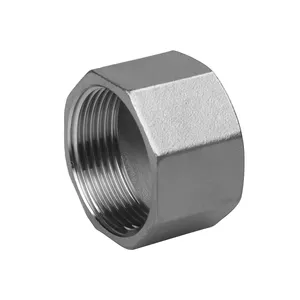 stainless steel 316 screw head hexagon cap 11/4" pipe fitting