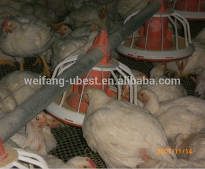 Aves de <span class=keywords><strong>corral</strong></span> automática alimentación <span class=keywords><strong>pan</strong></span> del sistema para broilers y breeders - Product Image 1