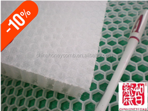 天井/underflooringポリプロピレンハニカムパネルライト簡単実行 - Product Image 4