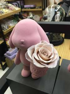 Rose Preservate a Lunga Durata, Fiori Immortali, Rose Eterne in Confezione Coniglio per Regalo di Compleanno - Product Image 5