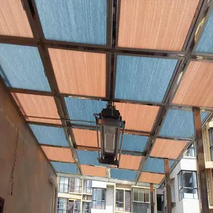 Horizontal Roof Window Project Pleated Honeycomb Motorized Skylight Blinds for Civic Center Venetian Roller Shades