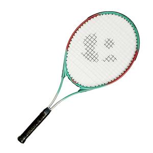 Concevez votre propre marque mini raquettes de <span class=keywords><strong>tennis</strong></span> (pro-t291) Top nouvelle <span class=keywords><strong>raquette</strong></span> de <span class=keywords><strong>tennis</strong></span> de marque Couverture <span class=keywords><strong>tennis</strong></span> amortisseur de vibrations - Product Image 1