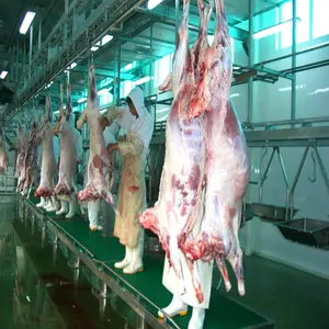 Línea de matadero de carnicería para ovejas, camellos de cabra con línea de deshuesar carne para cerdo, cordero, pollo