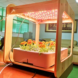 Mini caja de cultivo led para interior, hogar, verduras, bricolaje, inteligente, 2019