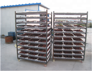 DWT-2-10 Serie transportband kamer droger druiven - Product Image 6