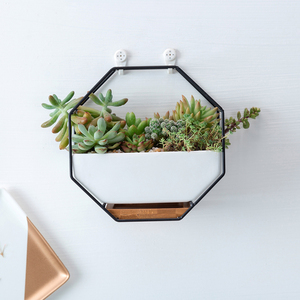 Vaso di <span class=keywords><strong>fiori</strong></span> in ceramica <span class=keywords><strong>per</strong></span> interni in stile nordico fatto a mano accessori <span class=keywords><strong>da</strong></span> giardino <span class=keywords><strong>per</strong></span> la casa o la scrivania <span class=keywords><strong>da</strong></span> parete fioriera - Product Image 6