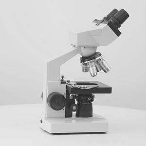 BestScope BS-2010E 40X-1000X 확대 경제적인 두눈 생물학 교육 현미경 - Product Image 4