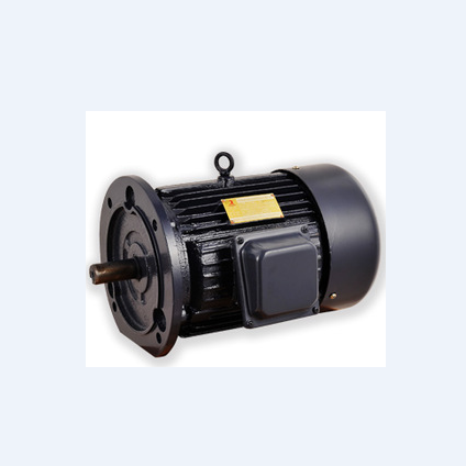 Y132S-2 Series Three Phase Asynchronous Motor