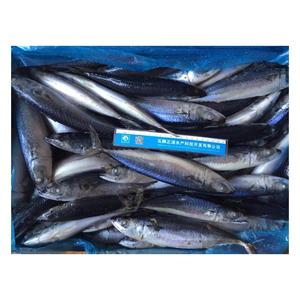 X12 nova estação mackerel peixe frozen saba redonda bqf chupeta mackerel - Product Image 1