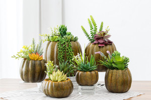 Nuovo disegno a buon mercato all'ingrosso vero tocco bella artificiale piante succulente in vaso di <span class=keywords><strong>zucca</strong></span> per la decorazione - Product Image 5