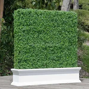 Uv Materiaal Kunstgras Hek Buxus Hedge Panelen Met Goedkope Prijs