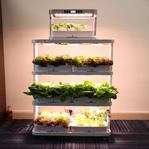 2018 Shenzhen supplier hot sale diy hydroponics farming aquaponics growing system 3 tier racks with water tank