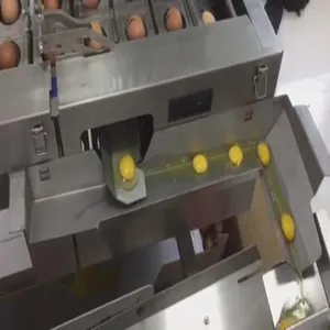 Máquina separadora automática de huevos, trituradora de yema y huevos líquidos