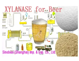 Xylanase-Enzym Xy100be (Tr) Commercieel Xylanase-Enzym