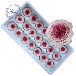China Lieferant 2-3cm konservierte Austin Rose Blumen rosen für Garten rosen - Product Image 1