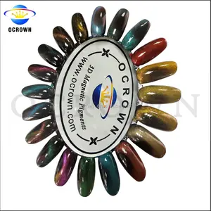 Newest Product 3D Cat Eye Pigment Magnetic Nail Art Powder Magnetic Eyeshadow Car Paint Pigment