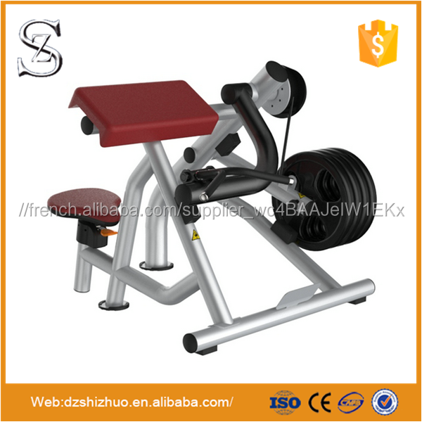 Bons mouvements plaque chargée machine d'exercice Biceps Curl LM05 pour gym utiliser