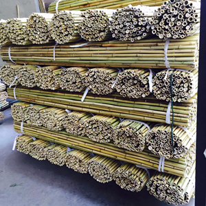 bamboo hometown bamboo pole export for orchards