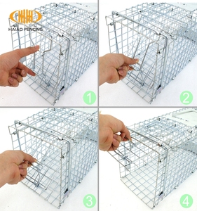 Insancıl fare kedi kapanı canlı yakalamak daha iyi yapışkan sıçan tuzağı - Product Image 4